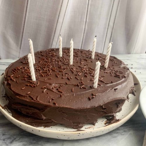 The Very Best Ever Paleo Chocolate Cake Recipe - My Natural Family